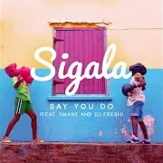 Say You Do (Extended Mix) (Feat. Imani Williams & Dj Fresh)